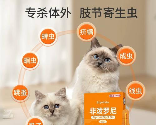 狗狗怀孕期间需要注意的驱虫药问题
