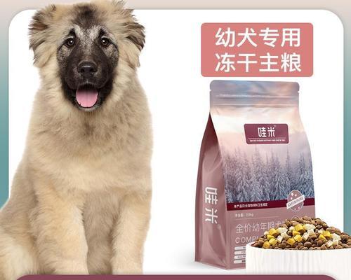 为什么狗狗总是咬自己（探索狗狗咬自己的原因和解决方法）