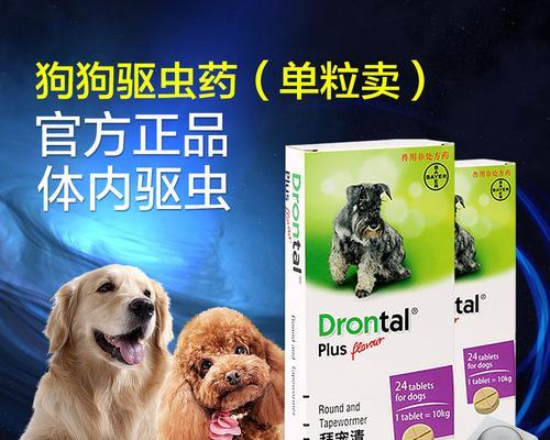 狗狗眼睛病用药指南（了解宠物眼疾病的药物治疗及注意事项）
