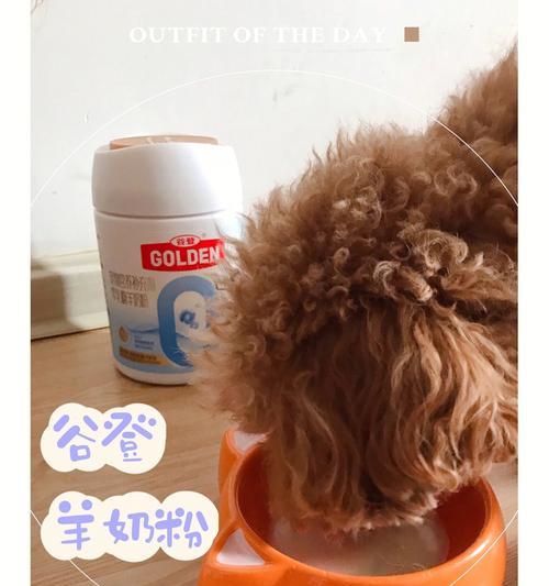 狗狗喝羊奶粉的正确方法（以宠物为主）
