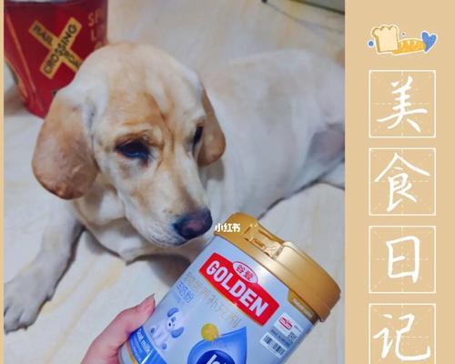 狗狗喝羊奶粉的正确方法（以宠物为主）