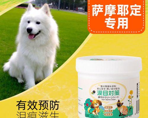 狗狗咬餐巾纸怎么办（宠物主人必看的解决方案）