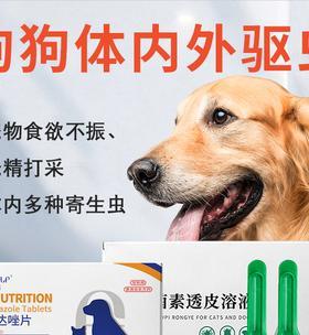 宠物犬使用药水除跳蚤方法剖析（犬体存在跳蚤）
