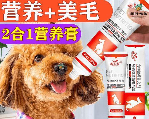 狗什么时候吃卵磷脂（宠物健康从饮食开始）