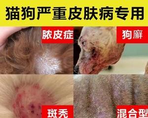 小狗抓痒不止（了解小狗抓痒的原因）
