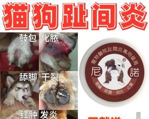 小狗抓痒不止（了解小狗抓痒的原因）