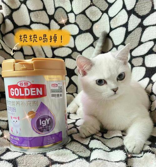 小猫为什么不喝羊奶粉（宠物的健康需求与饮食习惯）
