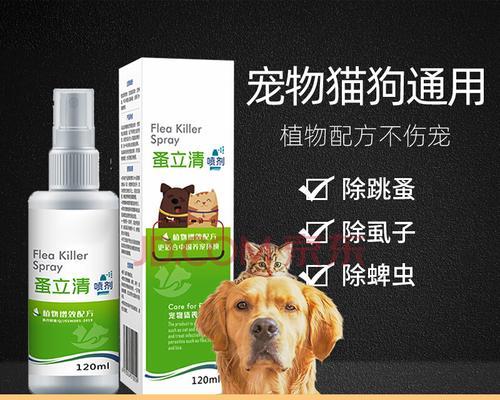 宠物小猫涨肚拉稀怎么办（药物治疗小猫涨肚拉稀）