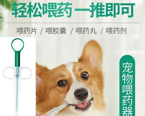 宠物小猫涨肚拉稀怎么办（药物治疗小猫涨肚拉稀）