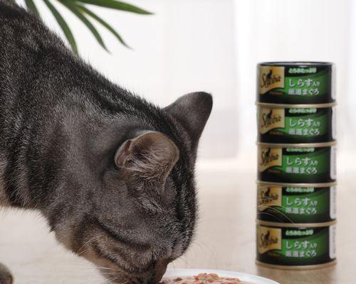 小猫每月需要多少湿粮（探究小猫饮食需求）