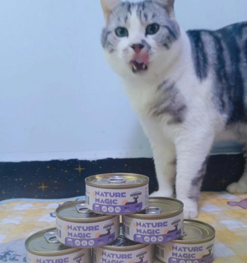 小猫能否只吃罐头（探讨宠物猫罐头饮食对健康的影响）