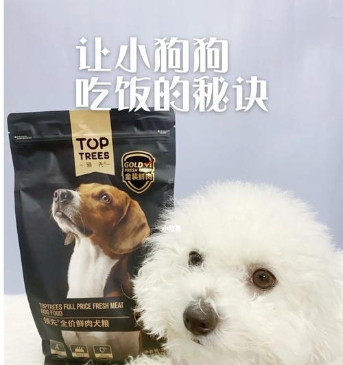 如何为一个月大的幼犬正确选择和喂食狗粮（从宠物健康和营养需求出发）