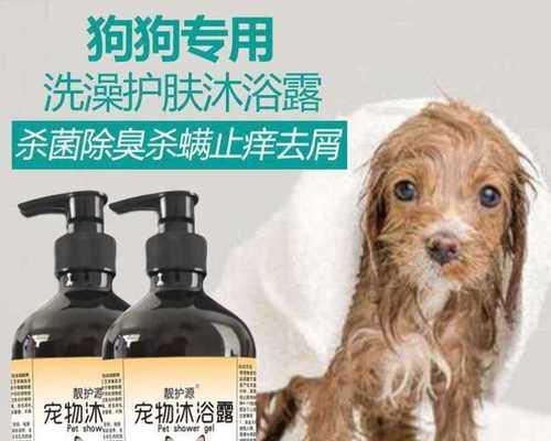 幼犬误食沐浴露的应急处理方法（以宠物为主）