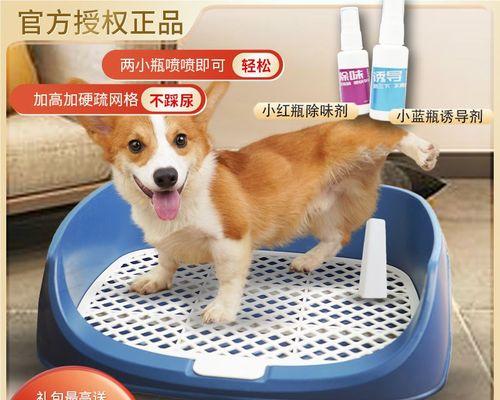 如何教你的宠物狗两个月内拉屎（宠物狗拉屎的基本需求）