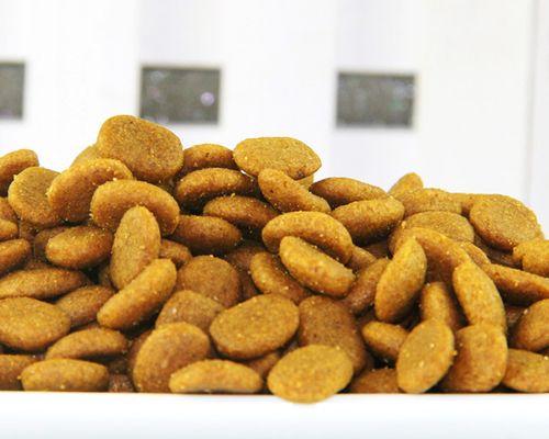 探寻郑州狗粮批发市场的地理位置和优质资源（一窥宠物食品行业的发展和市场趋势）