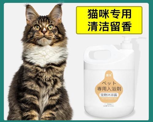 50天大的猫咪可以洗澡吗（宠物猫洗澡的时间与注意事项）