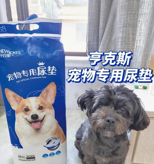 揭秘杜高犬为什么眼睛是蓝色的（探究杜高犬基因与外部环境的影响）