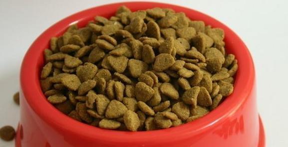 宠物狗吃的狗粮居然不臭（探究狗粮成分的——健康）