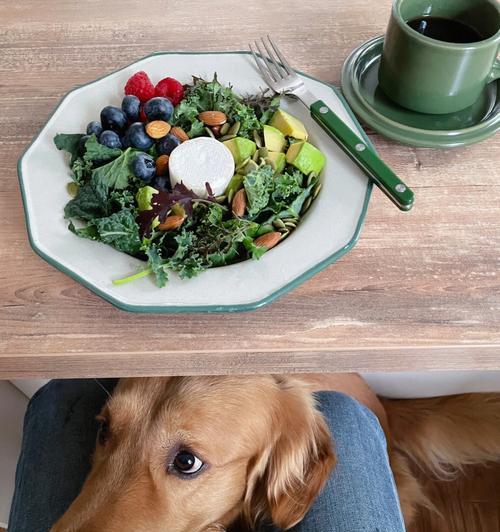 如何为您的宠物狗做一份营养早餐（了解狗狗早餐的要素以及常见的早餐食谱）