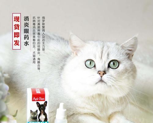 如何选择温和的眼药为宠物狗治疗眼部问题（为狗狗选购眼药的注意事项）