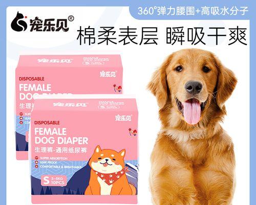 解读狗狗尿很黄很臭的原因（揭秘宠物健康的小秘密）