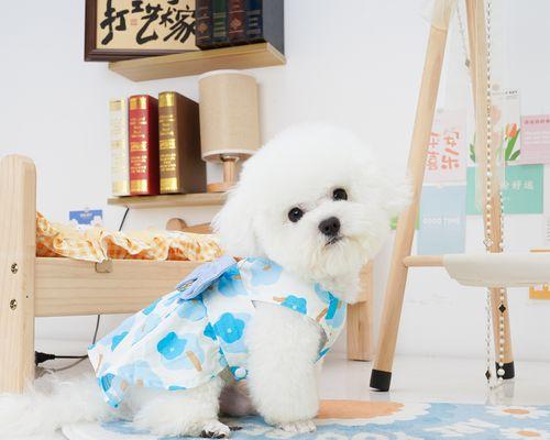 怎样处理狗狗身上的小疙瘩（探讨狗狗身上小疙瘩的成因及治疗方法）