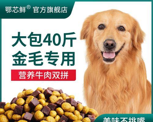 如何为宠物犬提供的狗粮（以狗狗什么可以吃为基础）