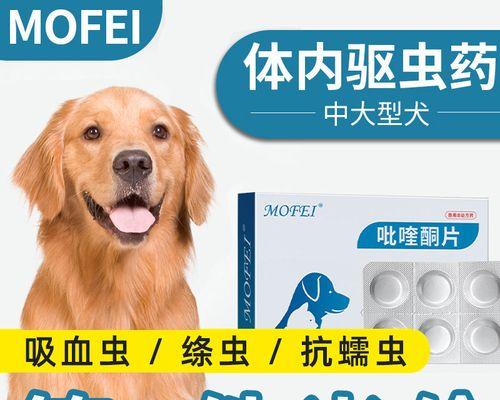 打虫药让宠物（宠物健康）