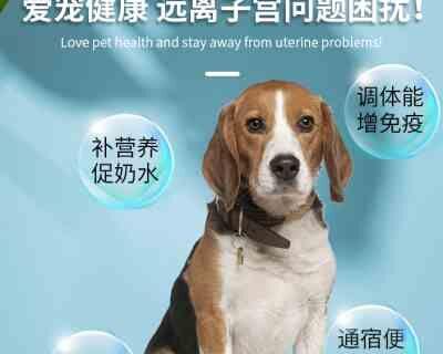 宠物用药指南（如何正确用药）