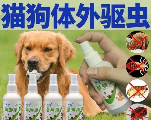 宠物用药指南（如何正确用药）