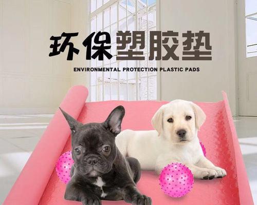 如何有效清理以宠物死亡地方（宠物去世后清理工作指南）