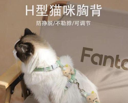 小猫不吃东西怎么办（宠物的饮食问题与解决方法）