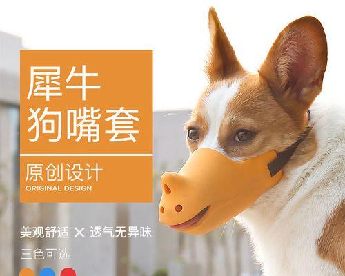 家狗被小狗咬了该怎么办（处理狗咬伤的正确方法）