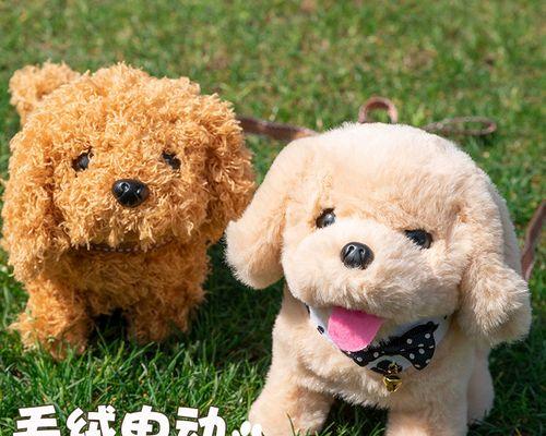小狗叫得太厉害该怎么办（以宠物为主）