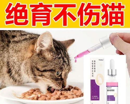 猫咪饮食搭配大全——为你的爱宠提供全面营养（猫咪饮食要点）