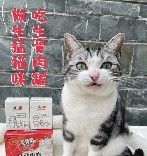 猫咪的饮食健康指南（以宠物为主）