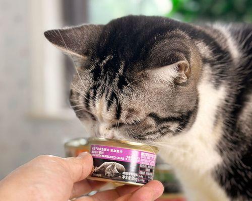 猫咪的饮食健康指南（以宠物为主）