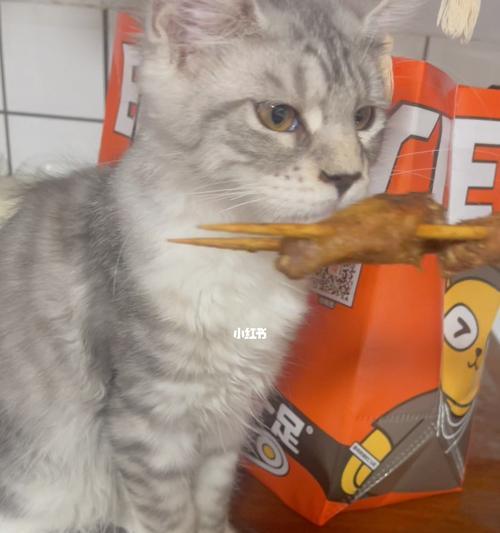 猫咪的饮食秘籍（探究猫咪的饮食需求及健康饮食指南）