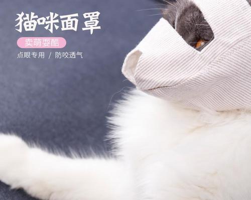 如何正确给宠物猫咪注射（宠物猫咪注射注意事项）