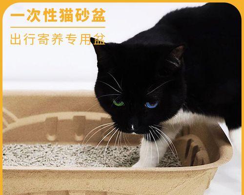 揭秘猫咪爪子上的猫砂之谜（宠物爱好者必看）