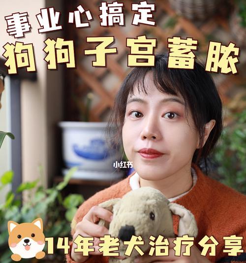 如何处理猫咪子宫蓄脓（探究子宫蓄脓的原因与治疗方法）