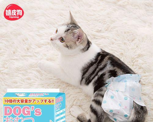 猫咪总是尿在床上，原因与解决方法详解（宠物家庭必备）