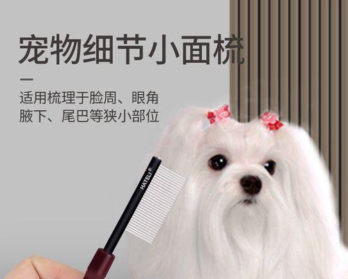 猫咪磕破嘴巴后的应急措施（如何处理猫咪嘴巴受伤）