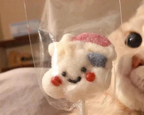 用猫咪头像的人，究竟想表达什么（从宠物到个人形象）