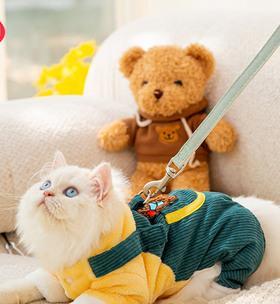 挑选适合宠物的美短猫咪毛绒玩具（打造快乐的宠物生活）