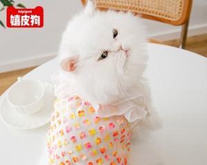 挑选适合宠物的美短猫咪毛绒玩具（打造快乐的宠物生活）