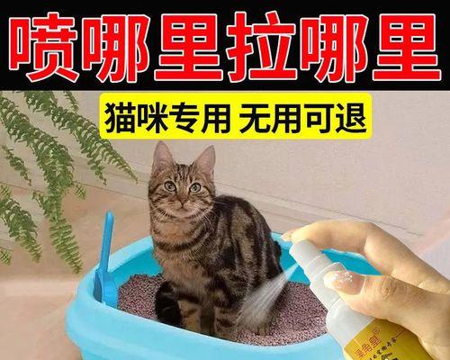 梦中萌宠，现实情缘（以梦为引）