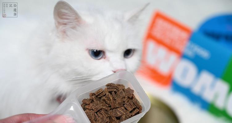全猫粮小猫也能吃吗（了解全猫粮的营养成分和小猫的需求）