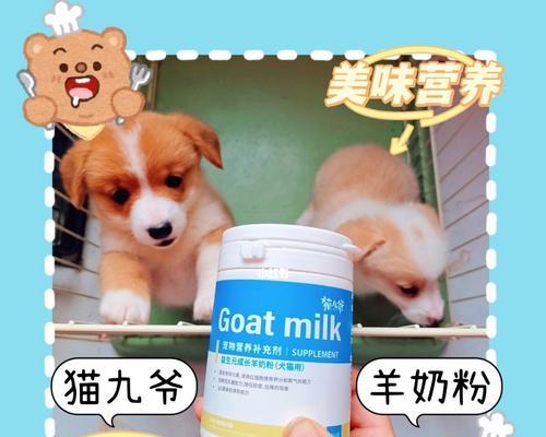 全脂羊奶粉狗狗能吃吗（了解狗狗的饮食需求与限制）