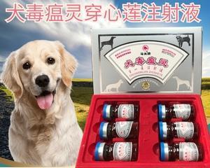 犬瘟热晚期治疗——药物治疗方案（以宠物为主）